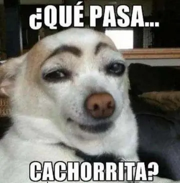 Variado