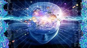 La glándula pineal