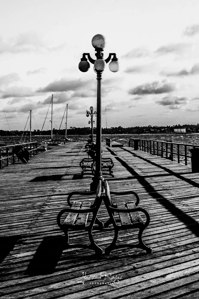 nikondD3100
