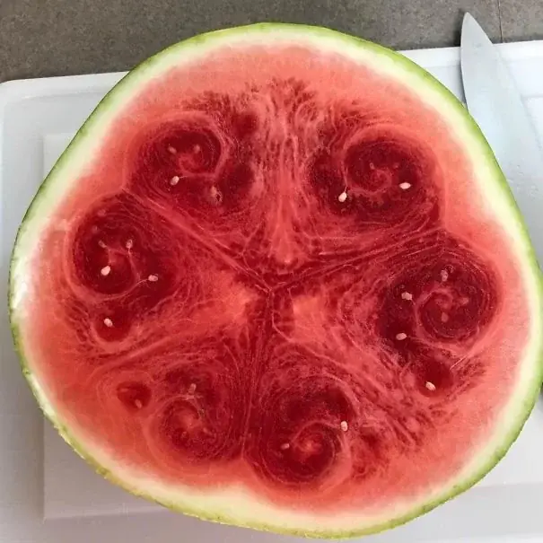 Veces que la comida nos dejó satisfechos, antes de proba