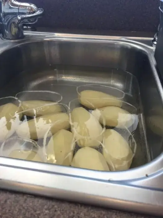 platos