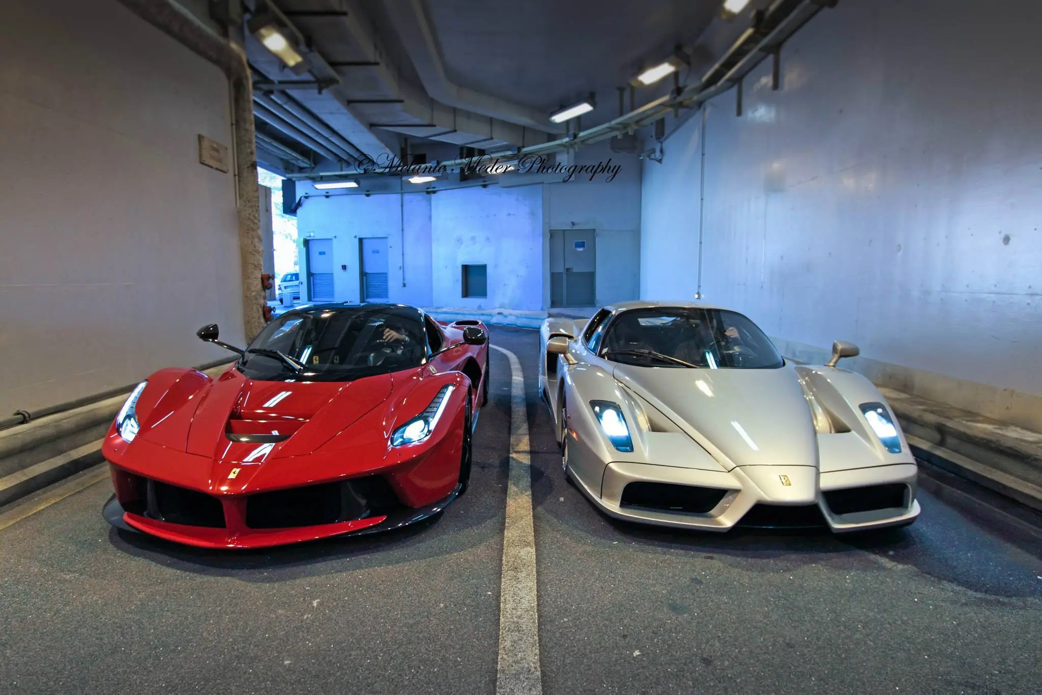 enzo