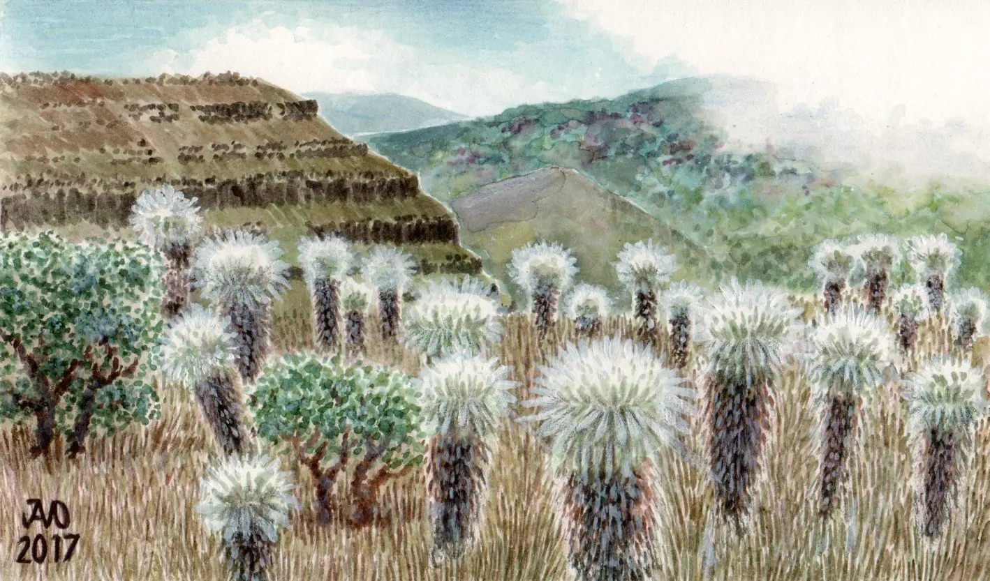 Dibujo