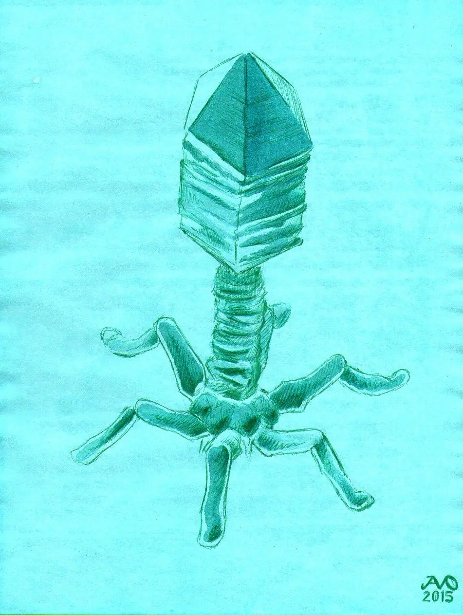 Dibujo