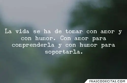 Frases memorables del supremo líder,Nicolás Maduro