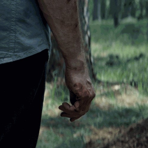 Logan