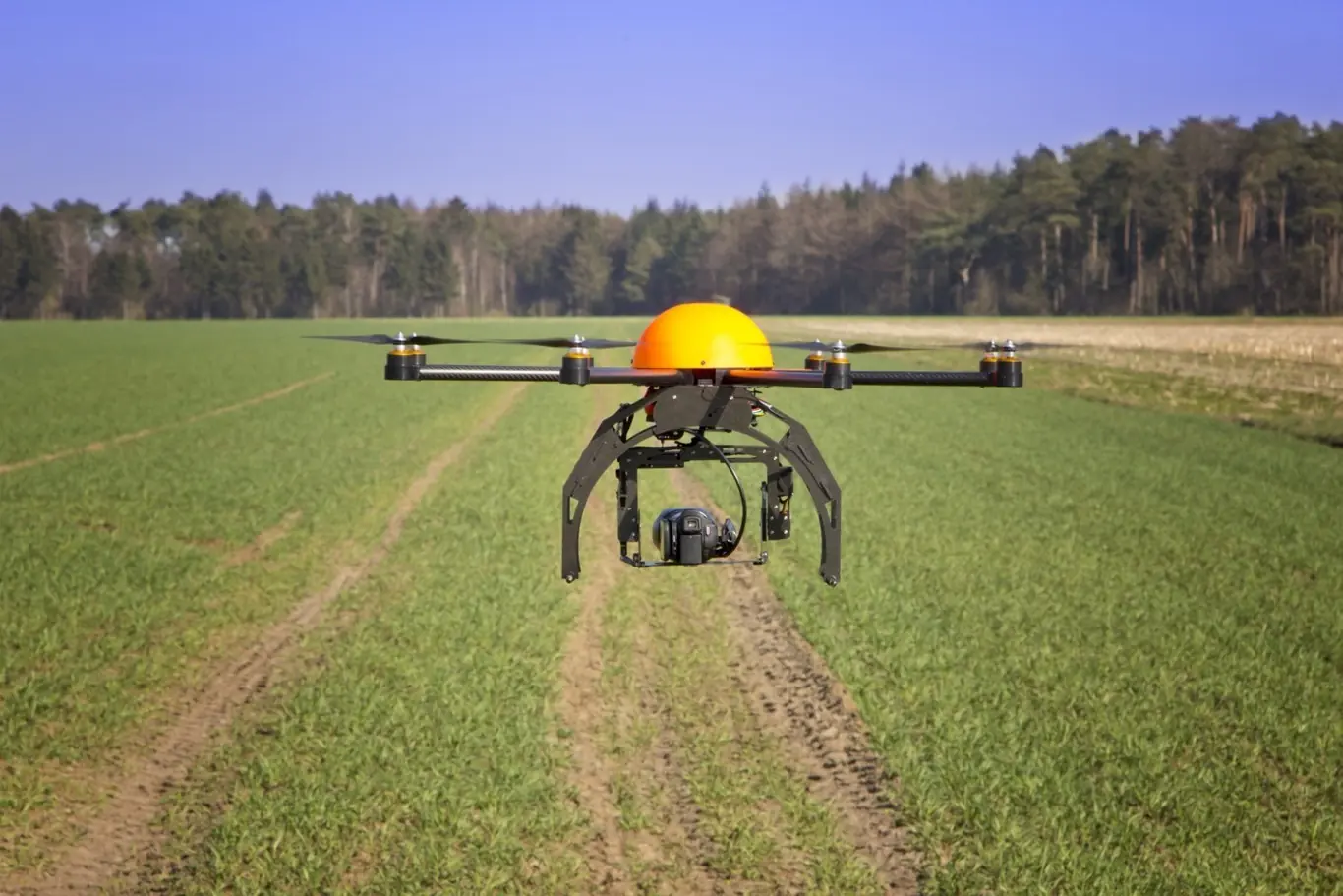 Drones podrán plantar 100.000 árboles en una hora