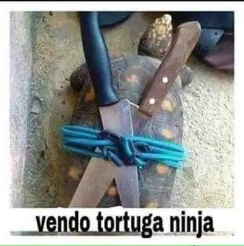mejores memes