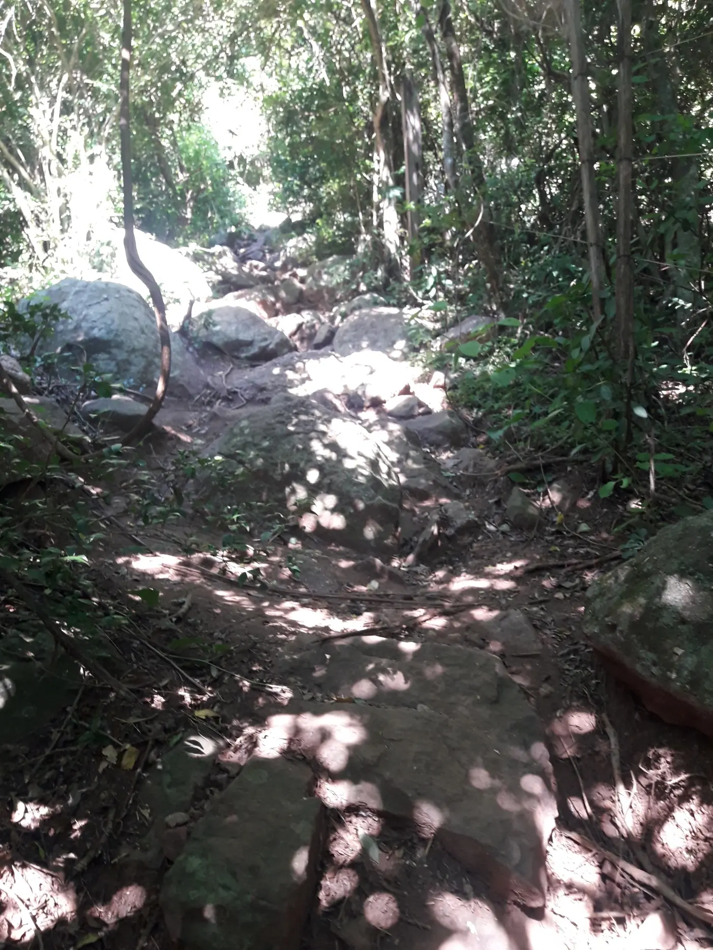 Lince aventuras por Paraguay: Cerro Hû