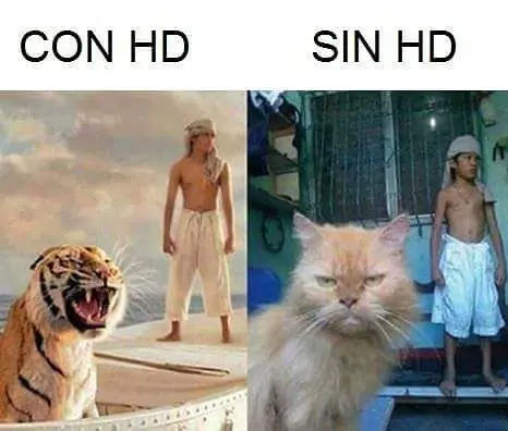 mejores memes