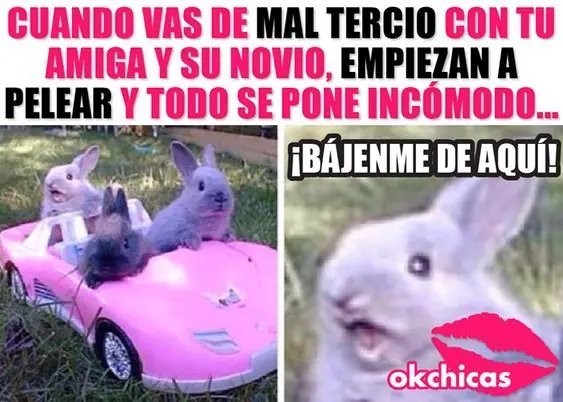 domingo