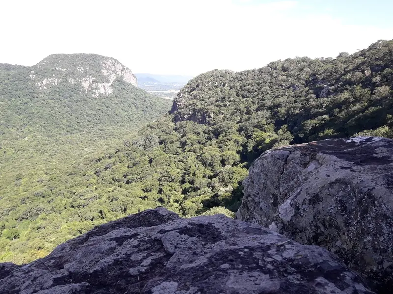 escalar
