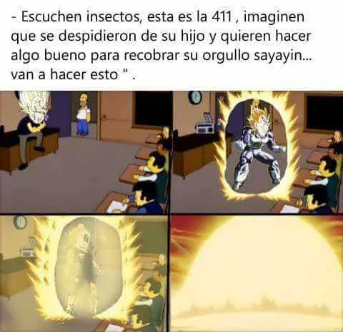 memes