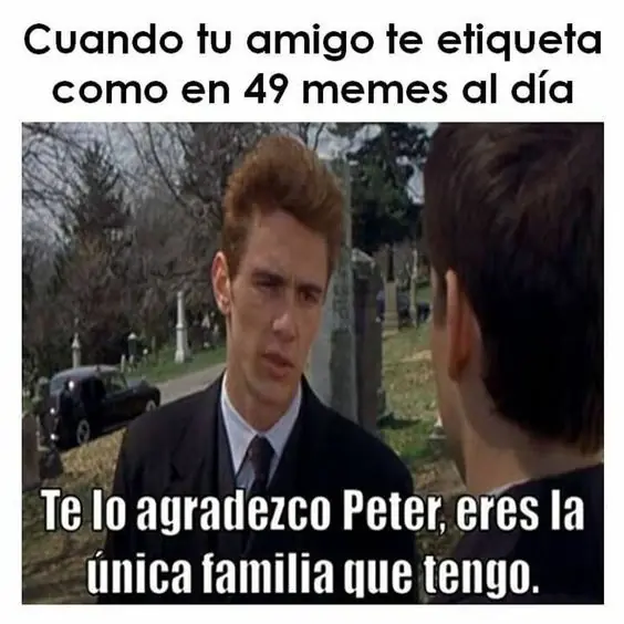 top memes
