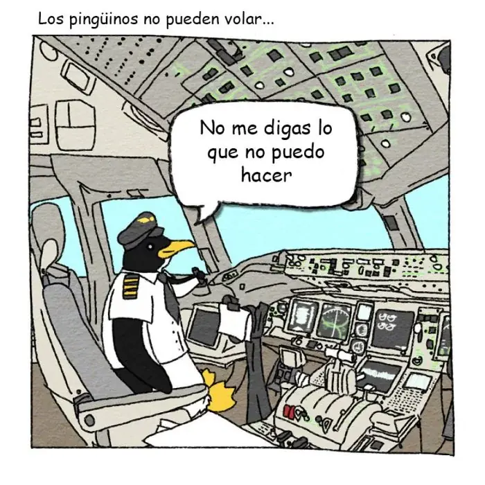 humor humor