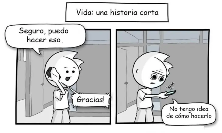 vida vida