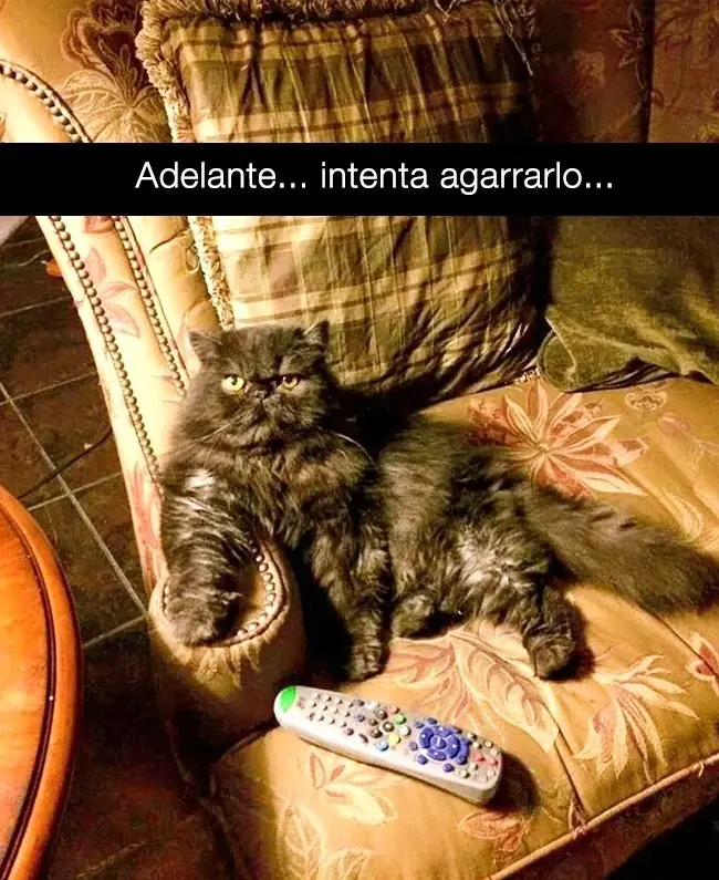 martes