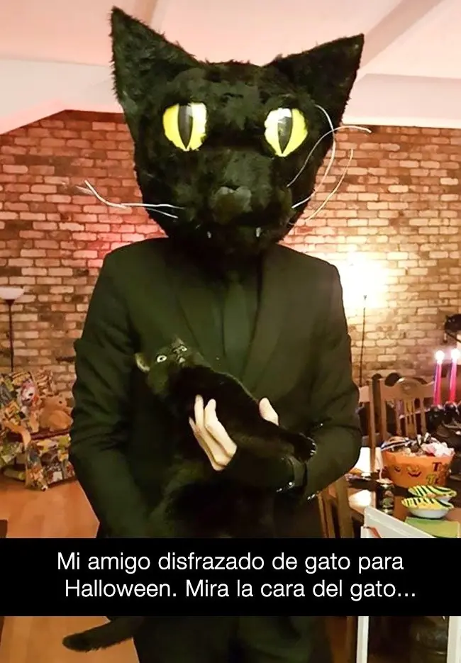duenos