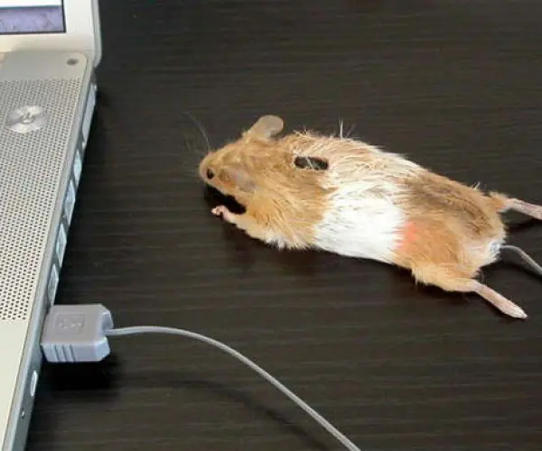 cambiar tamano del mouse