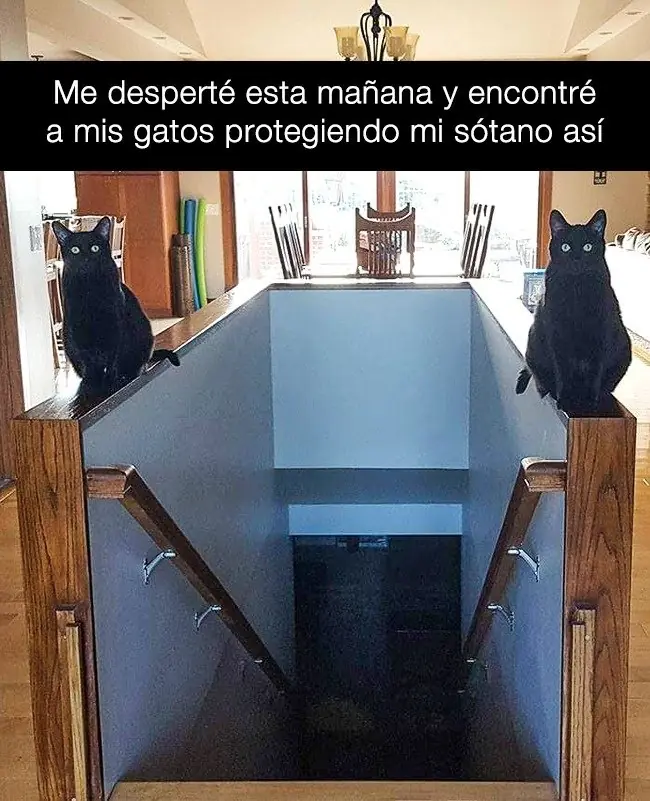 gracioso
