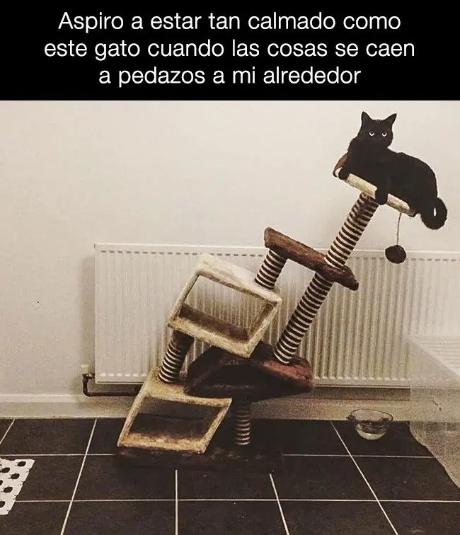 locuras