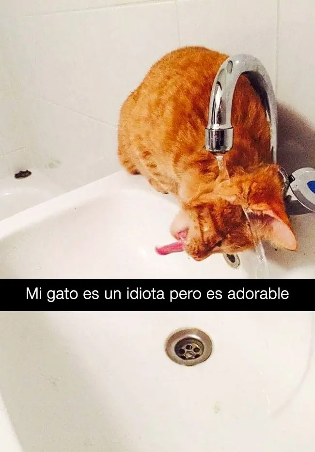 manana