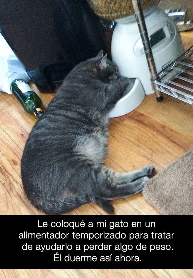 humor