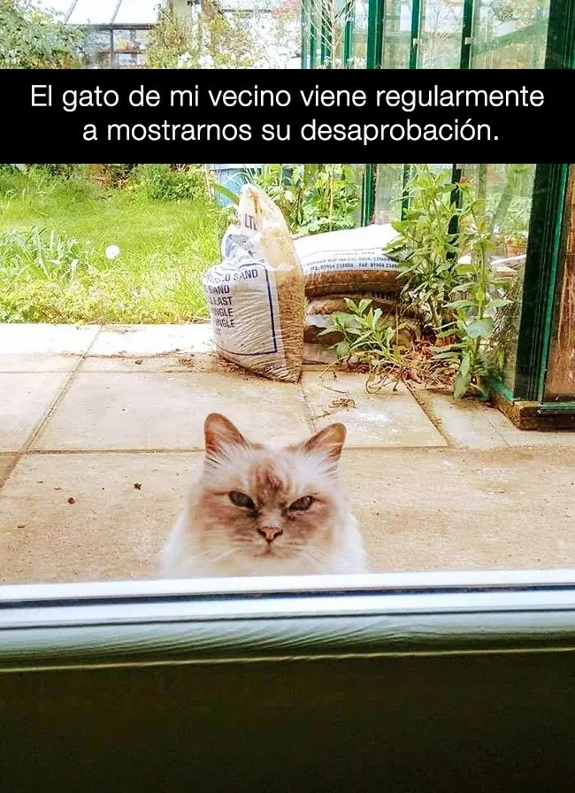 gsatos