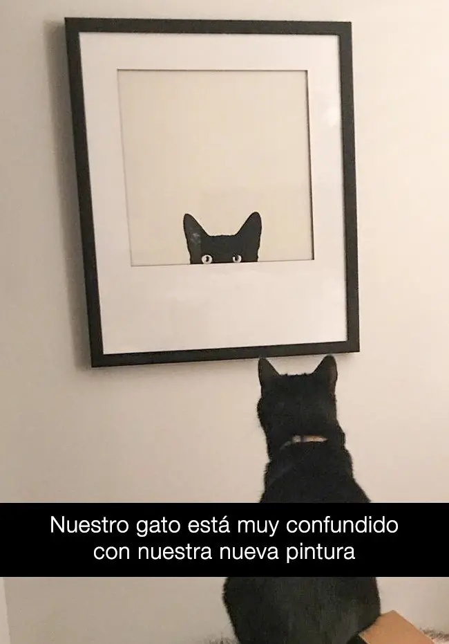gsatos