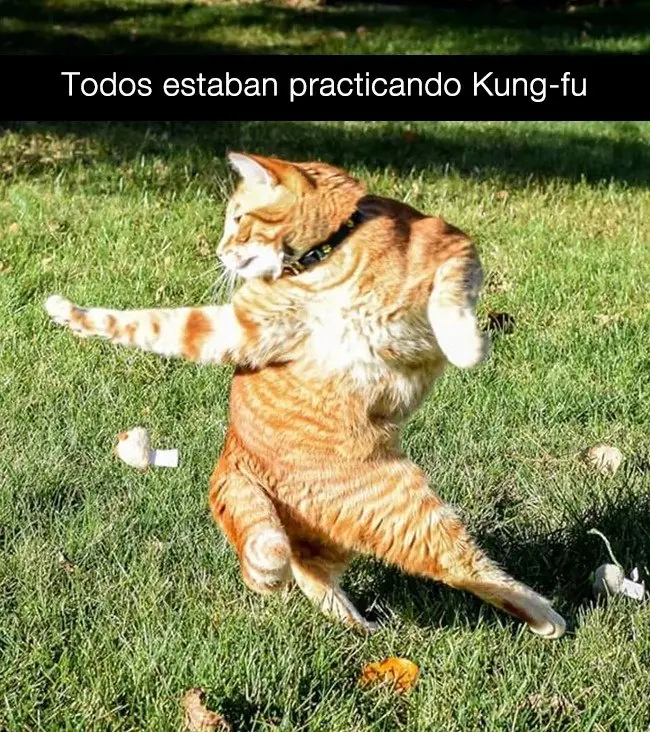 manana