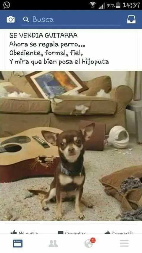 Fortuna