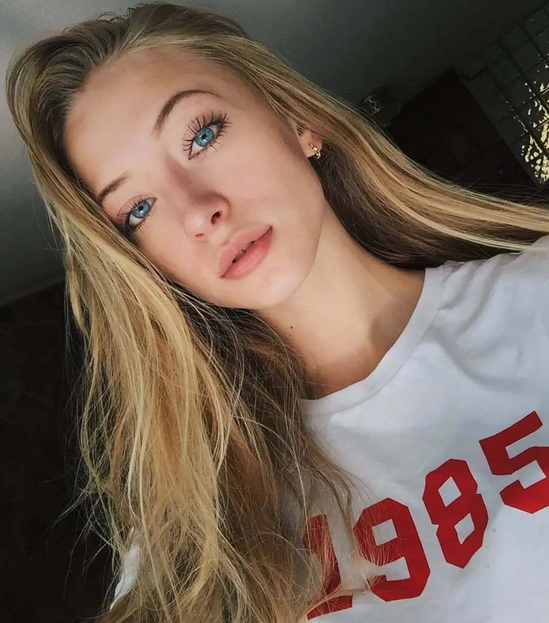 modelo
