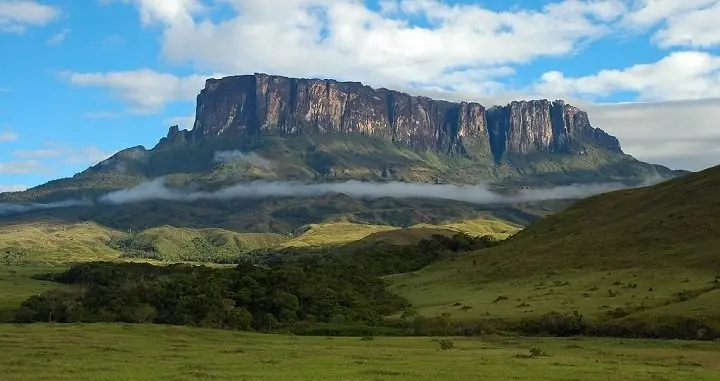 Medio Ambiente