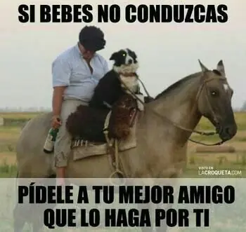 top humor