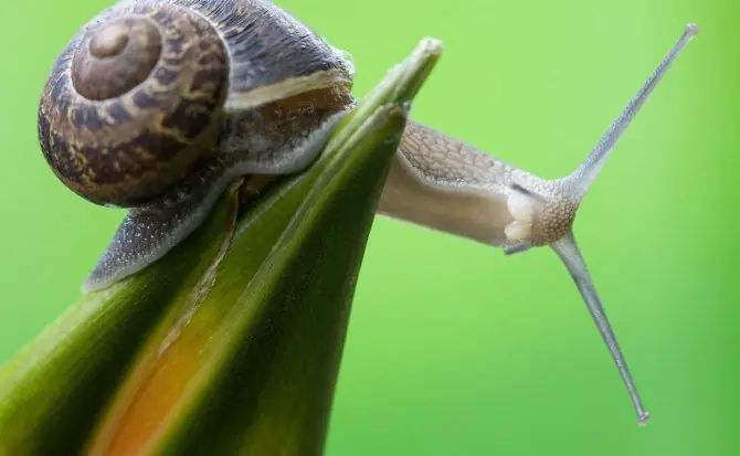 17 datos sobre cosas ordinarias que te sorprenderan