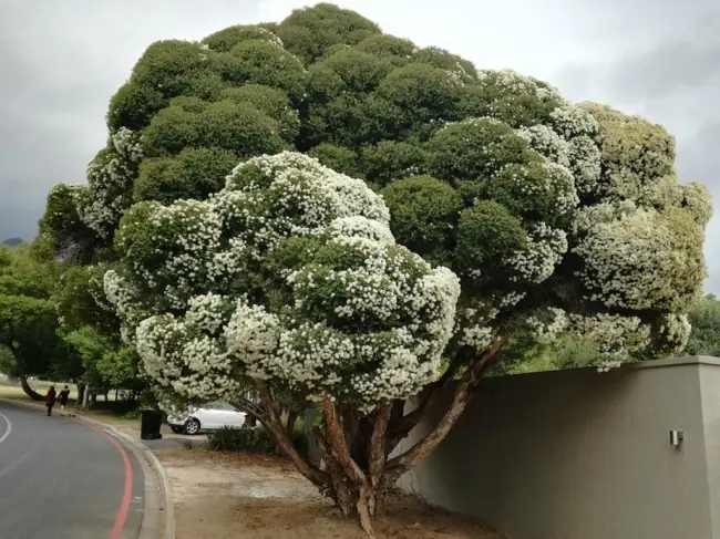 Fotos que t harán mirar dos veces para entender lo que pasa