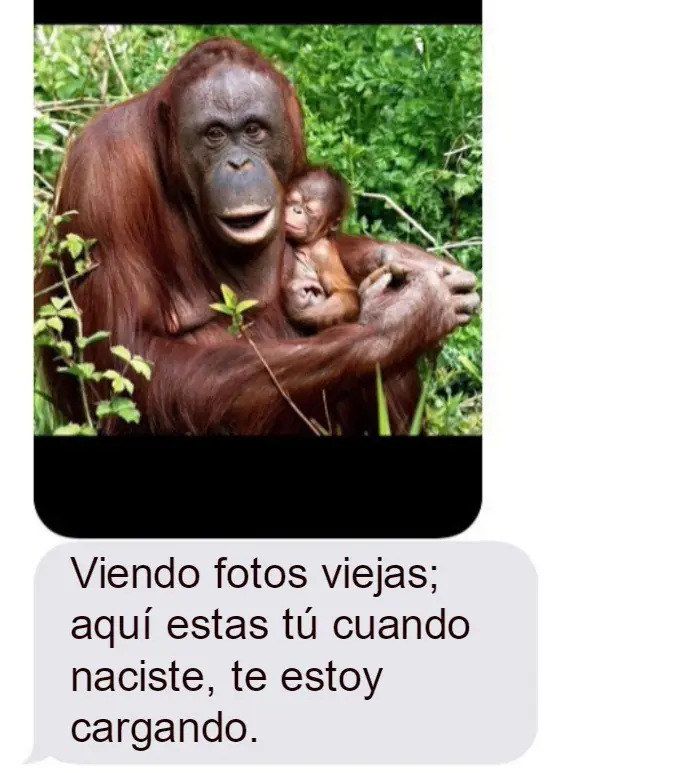 padres