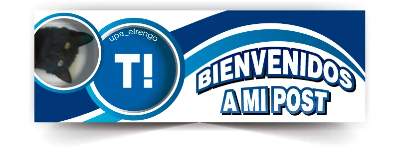 Te queres comprar un Skate? fíjate si esto te sirve