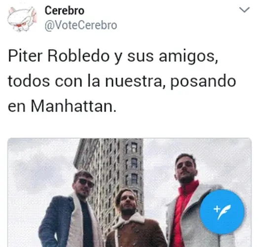 Militante pro fue a la ONU y terminó de turista en New York!