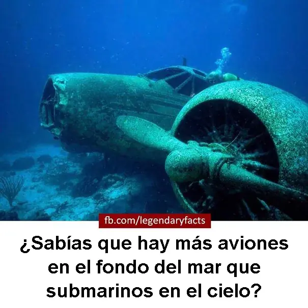 humor humor