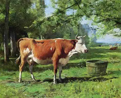campo