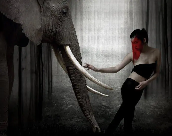 animales