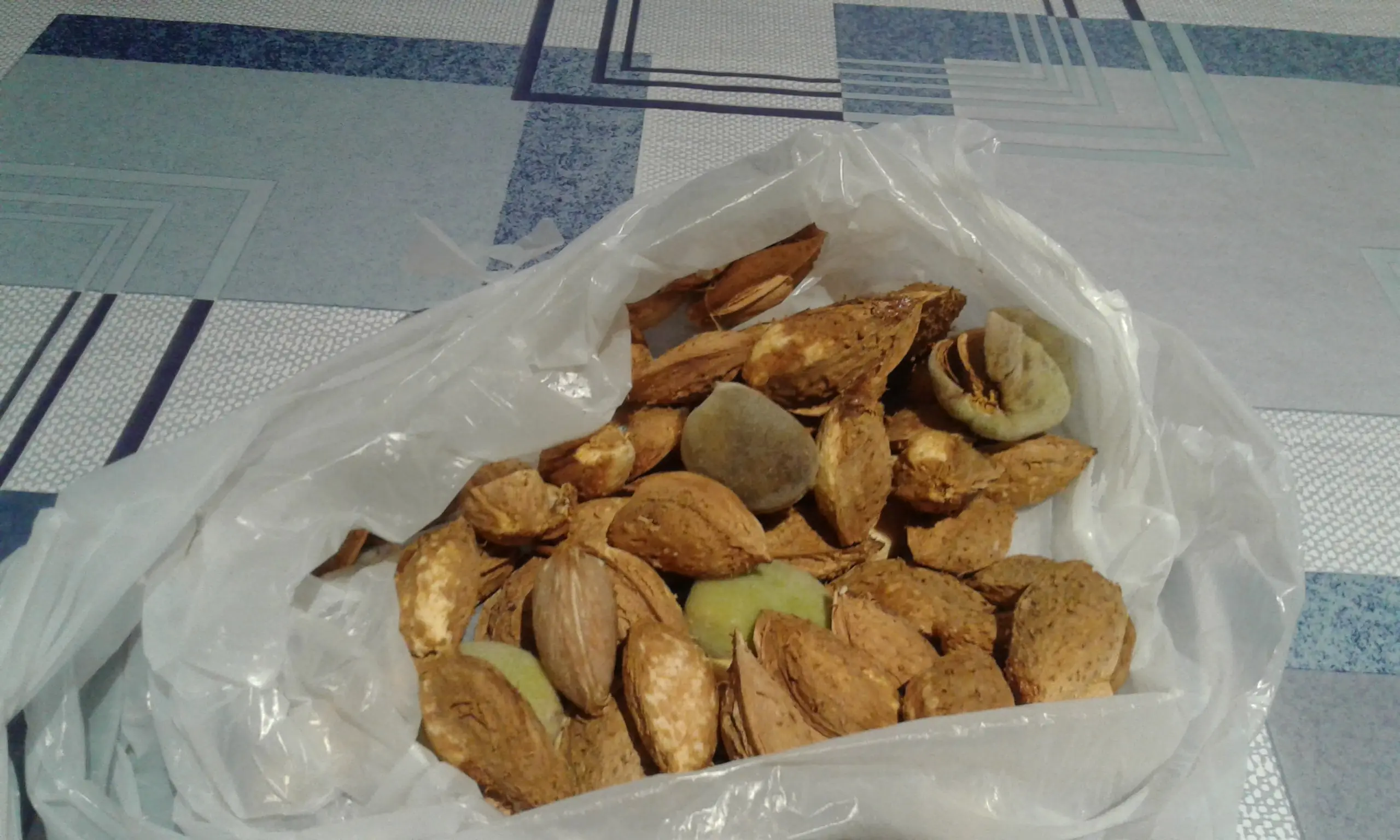 almendros
