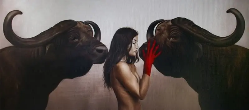 animales