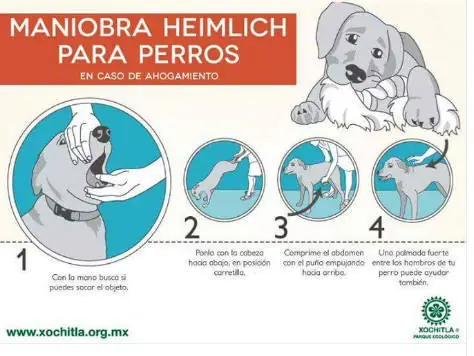 maniobra de heimlich
