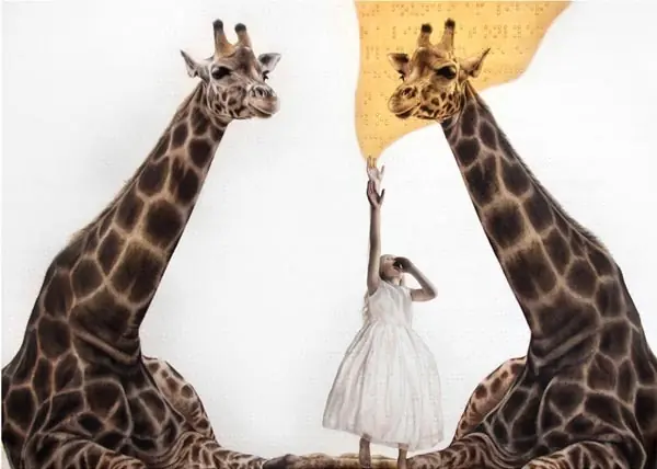 animales