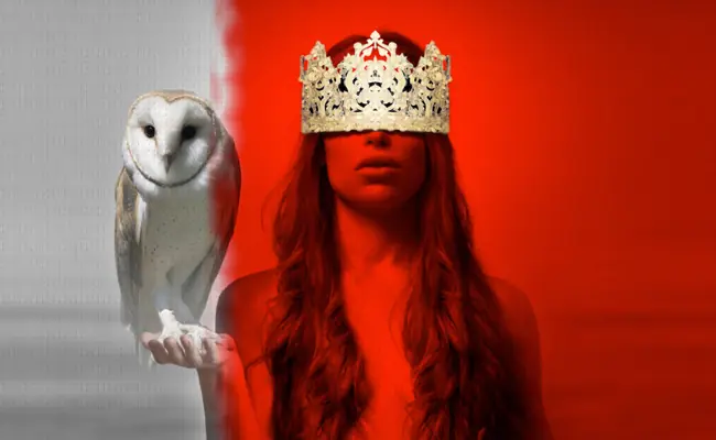 animales