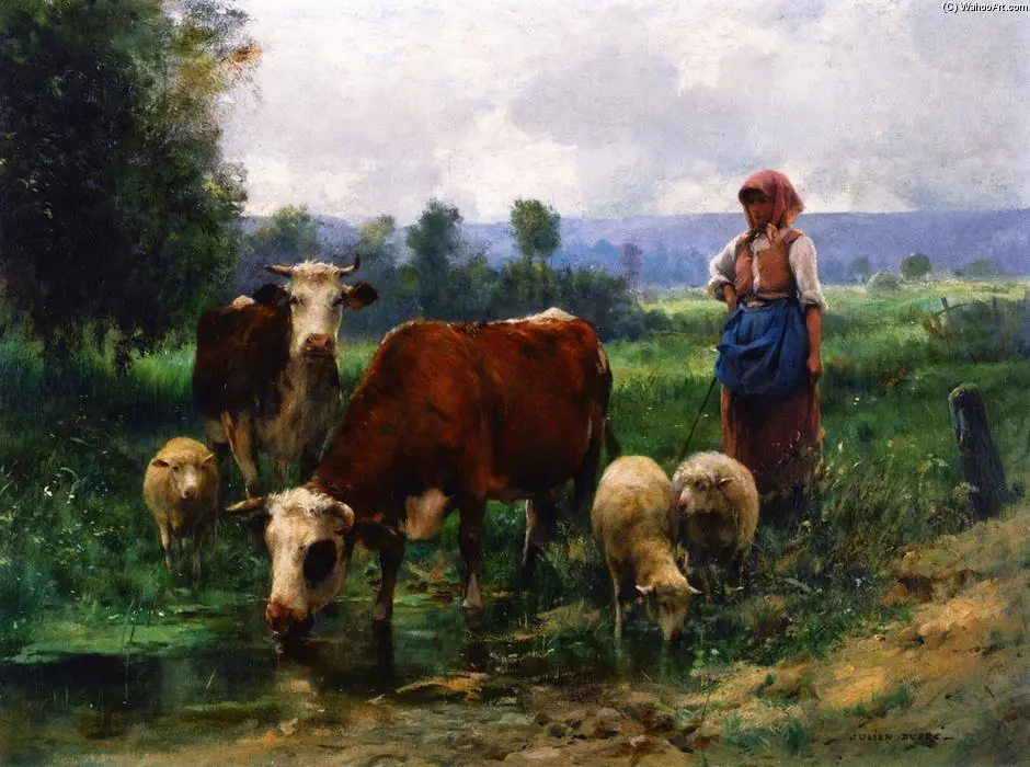 animales