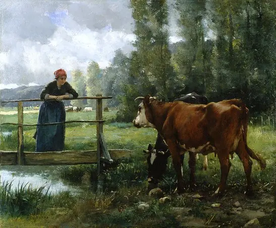 rural