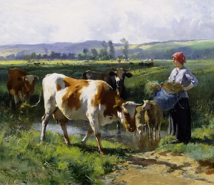 campo